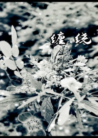 缠绕膜哪家好